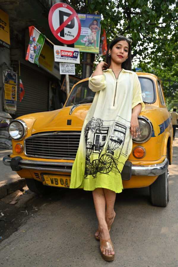 Green Ombre Silk Dress (Hand Painted Embroidery)